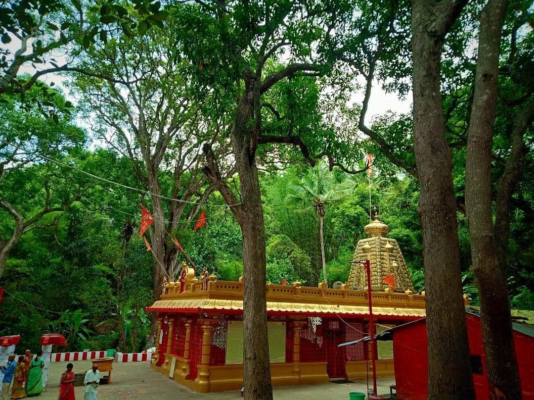 Japali_Tirumala